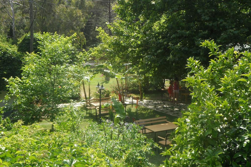 Arya Holiday Houses Çıralı Exteriör bild