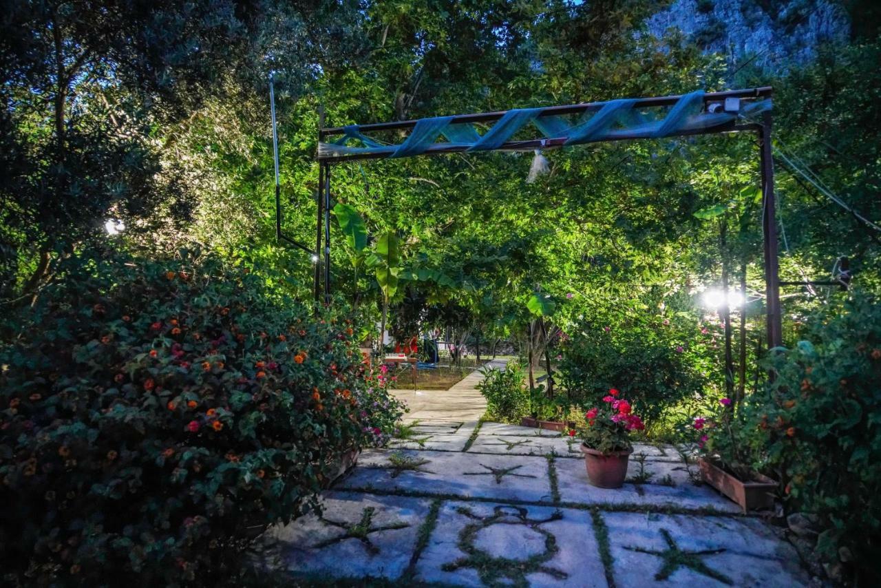 Arya Holiday Houses Çıralı Exteriör bild