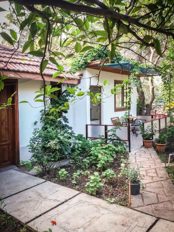 Arya Holiday Houses Çıralı Exteriör bild