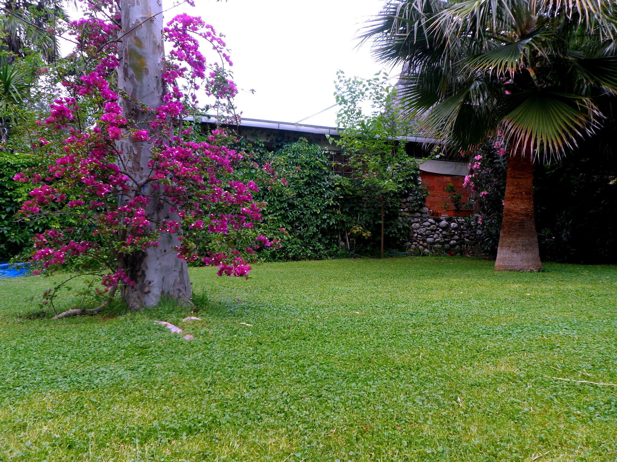 Arya Holiday Houses Çıralı Exteriör bild