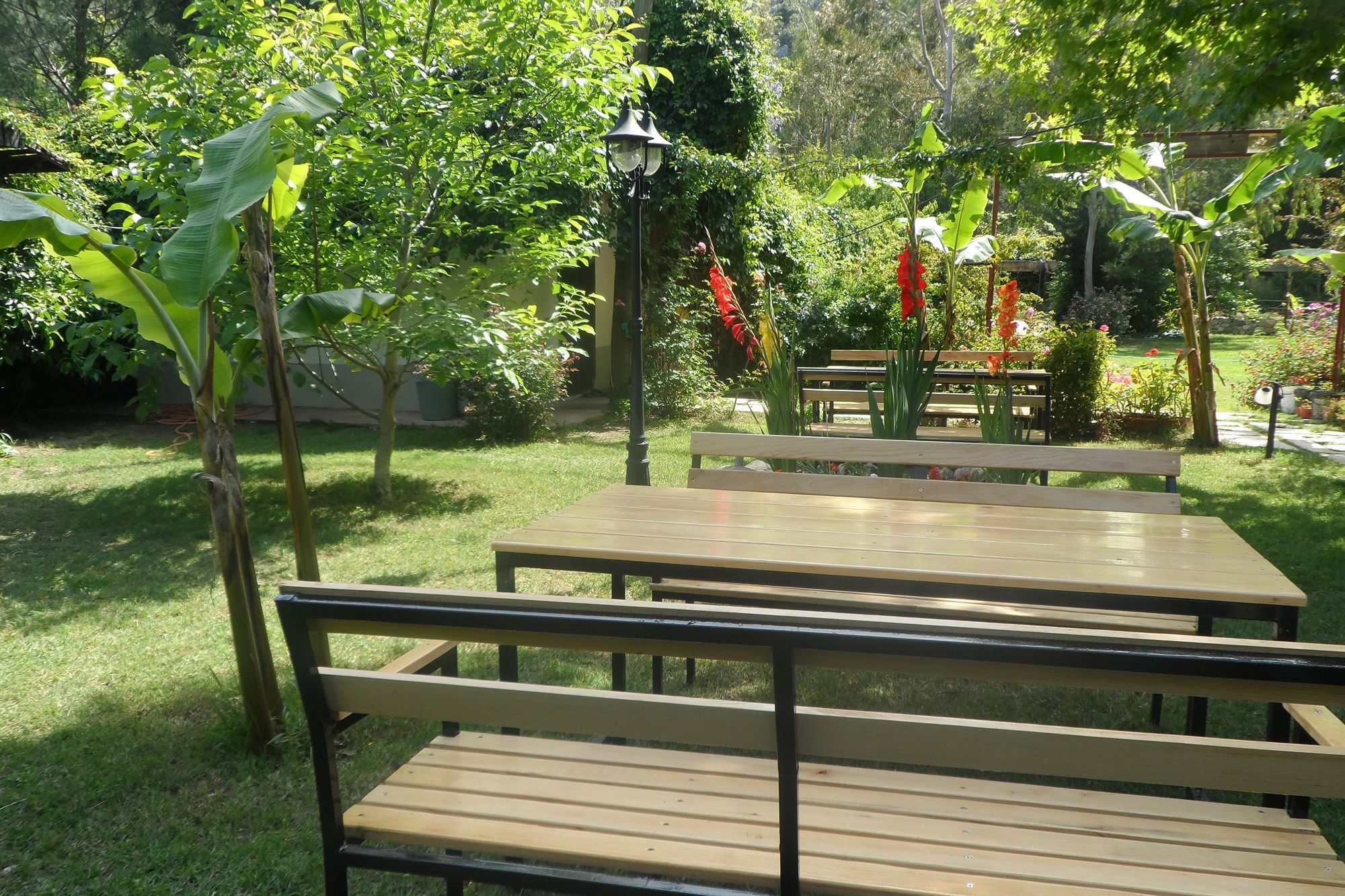 Arya Holiday Houses Çıralı Exteriör bild