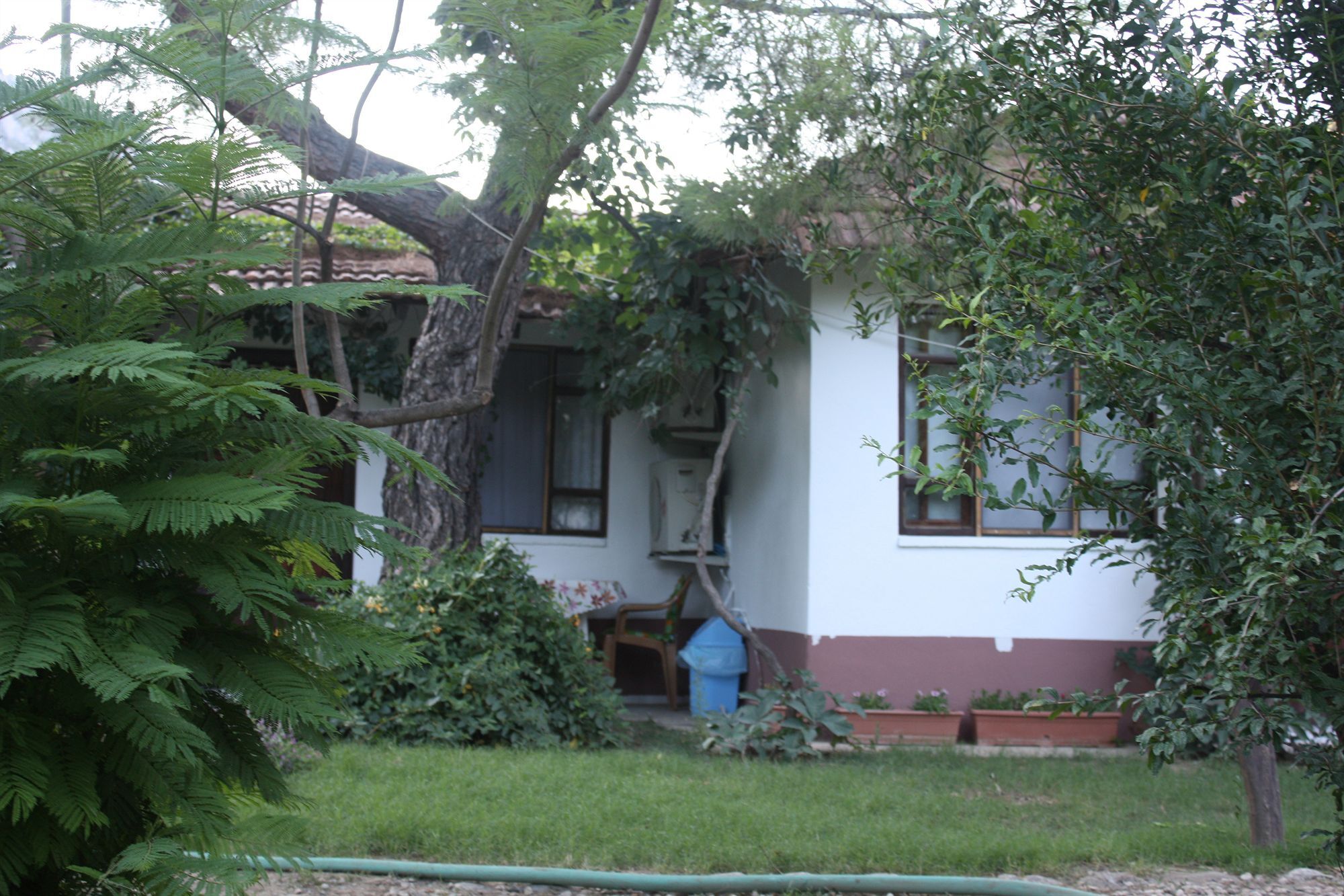 Arya Holiday Houses Çıralı Exteriör bild