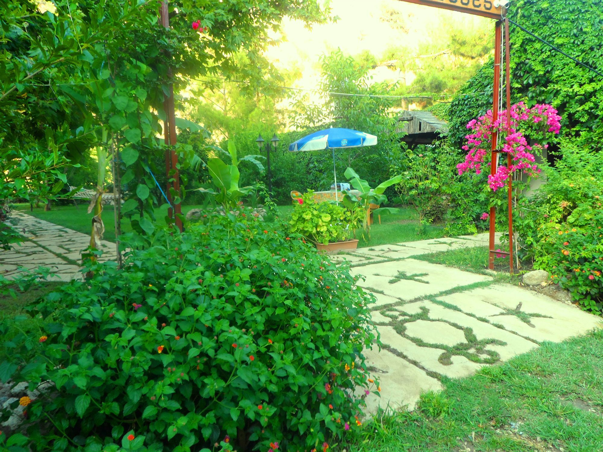 Arya Holiday Houses Çıralı Exteriör bild