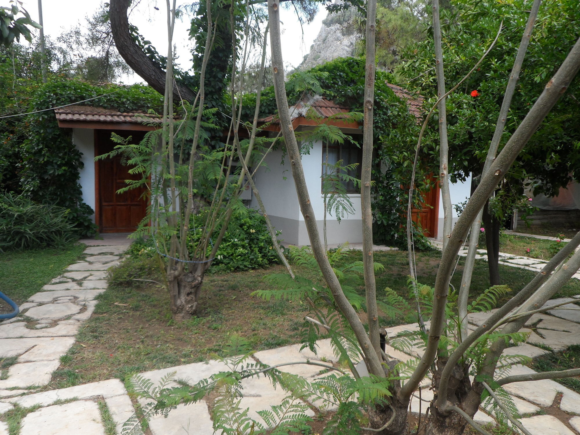 Arya Holiday Houses Çıralı Exteriör bild