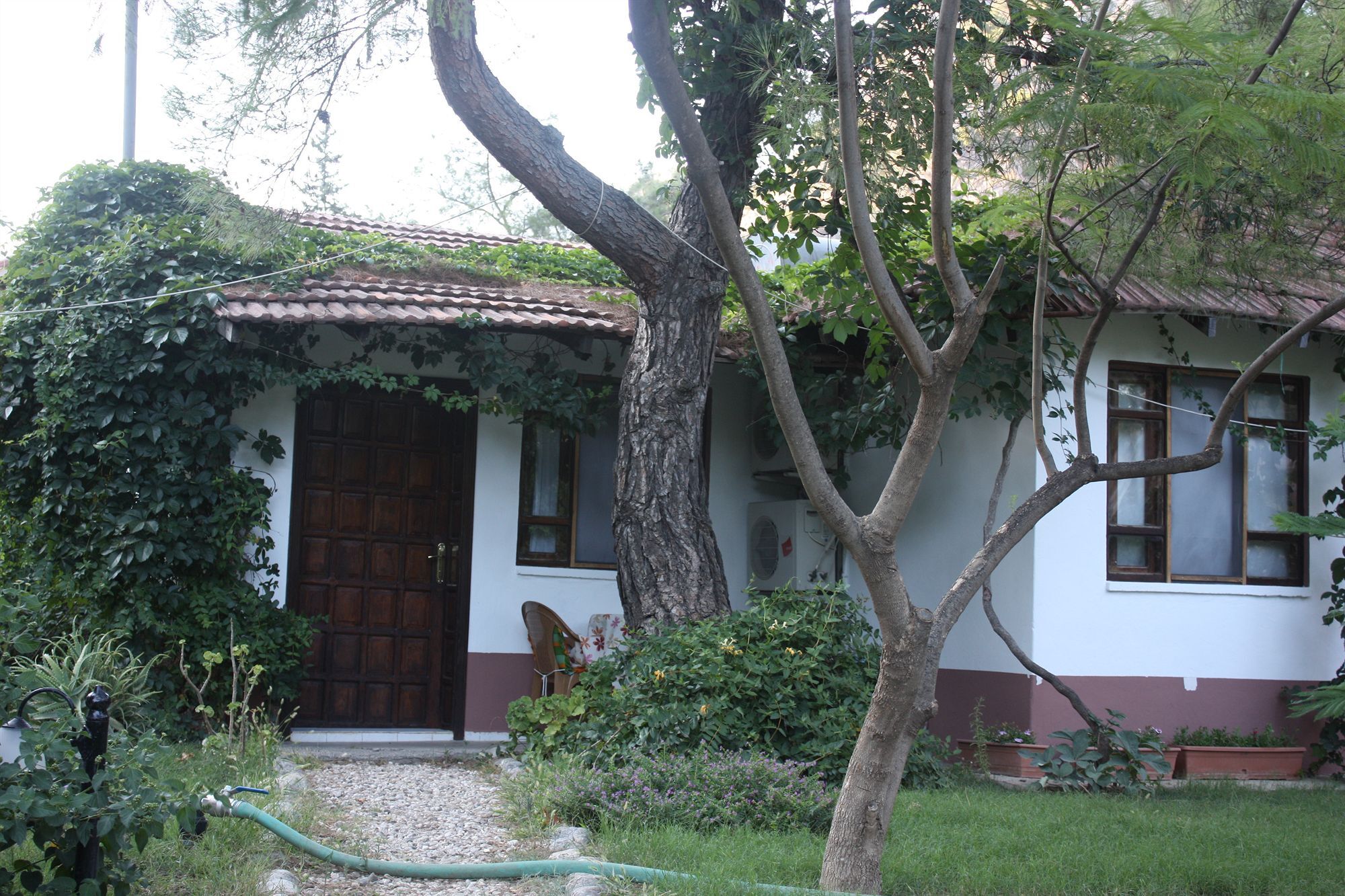 Arya Holiday Houses Çıralı Exteriör bild